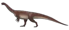 Massospondylus carinatus