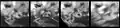 Surface changes observed at Masubi during the Galileo mission of the late 1990s.  Plume deposits seen in September 1997 (image 2) and August 1999 (image 4).  Plume fallout absent in June 1997 (image 1) and May 1998 (image 3)