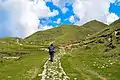 Walking in the meadows of Khaptad