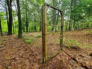 Fencing installed in an attempt to protect the rhododendrons from deer