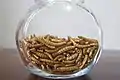 Freeze-dried mealworms as food (or food ingredient)