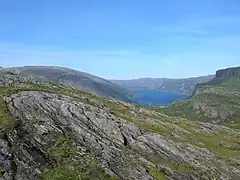 Melfjorden in Rødøy in the distance; Saltfjell goes all the way to the coast, and has proven to be a barrier for flora and fauna, including Norway spruce and the Viper.