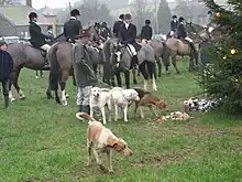 Fox hounds and huntsmen on horseback on a village green