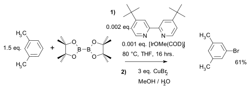 Metahalogenation Aryl borylation Murphy 2007