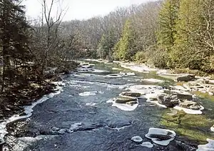 A rushing stream between two tree-lined shores.