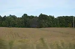 Soybean field along Pennsylvania Route 173