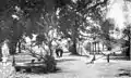 Milneburg Playground in 1912, later a part of NORD