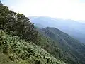 Mount Takero from Mount Mimuro (10/2008)