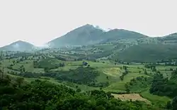 Wheat farms near Asheqlu