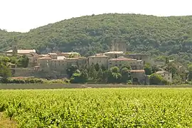 Distant view of Montclus with vineyards