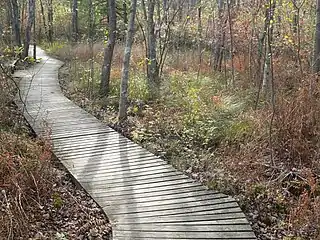 Boardwalk