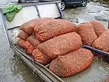 Bags of cockles picked from Morecambe Bay