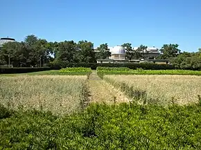 Looking north toward the Astronomical Observatory