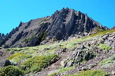 Mount Angeles summit. Notice the steeply tilted layers of ocean floor sediments