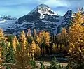 Mount Bowlen seen from Larch Valley