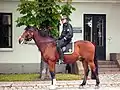 Mounted police in Oslo