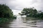 Mouth of the South Guadalupe River at Guadalupe Bay