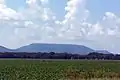 A flat, green, agricultural field with a rising Mount Nebo in the background.