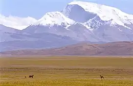 Large mountain capped with snow