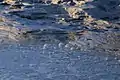 Close-up view of a mud pool