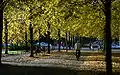 Promenade in autumn