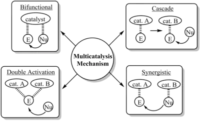 Classification of multicatalyst mechanism