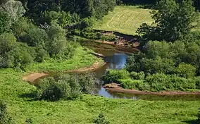 The Mustjõgi, a river in Tsirgumäe