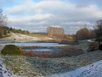 View of Myślęcinek Park