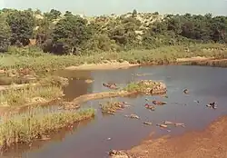 Mzingwane River at West Nicholson