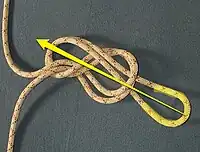 Pull the loop of the figure of eight over the whole knot