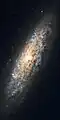 NGC 6503 by Hubble Space Telescope