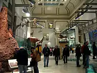 Hall of Mammals