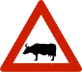 Animals (cattle)Warns that cattle often traverse or travel on the roads.