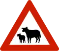 Animals (sheep)Warns that sheep often traverse or travel on the roads.