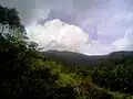 Mount Nagisan from the middle of the mountain