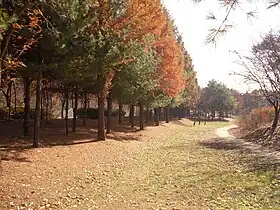 Nanjicheon Park