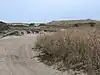 Dunes at Napeague State Park.