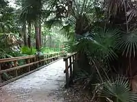 South Creek Reserve is accessed from South Creek Rd and James Wheeler Place. It is part of the Narrabeen Lagoon Bush trail.