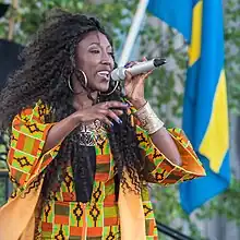 Kumba during the National Day of Sweden celebrations in 2015