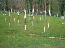 A grass field with 16 white-red-white-red poles spaced in diagonal lines, several plus-shaped stone blocks behind them, and a road is visible behind trees in the background