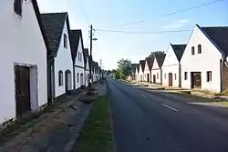 Houses in the village