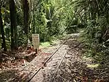 Nihotupu Tramline in the Waitākere Ranges in 2023