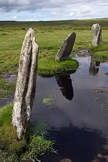 Three of the Nine Stones