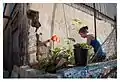 Gardening in the city, Florentin, 2013