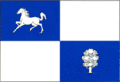 Flag of Nisporeni