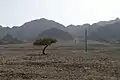 Desert near Nuweiba