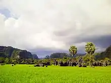 Karst landscape at Rammang-Rammang