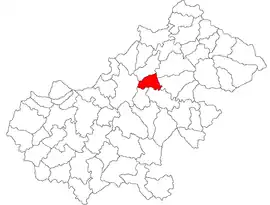 Location in Satu Mare County