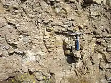 A pick axe sitting on a wider, protruding rock. Various sized rock prudences are in the photo; most are a little wider than the pick handle.