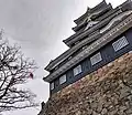 Okayama castle with last cherry leaves of autumn